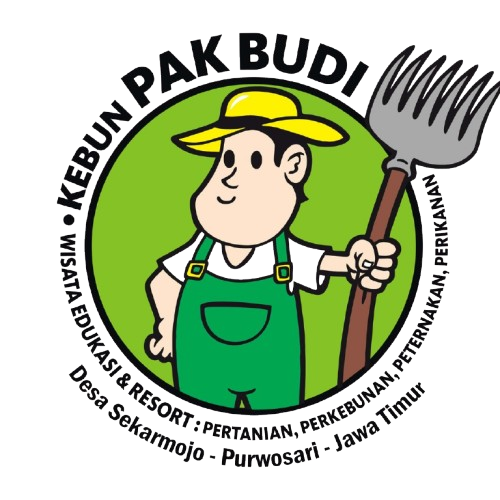 wisata kebun pak budi